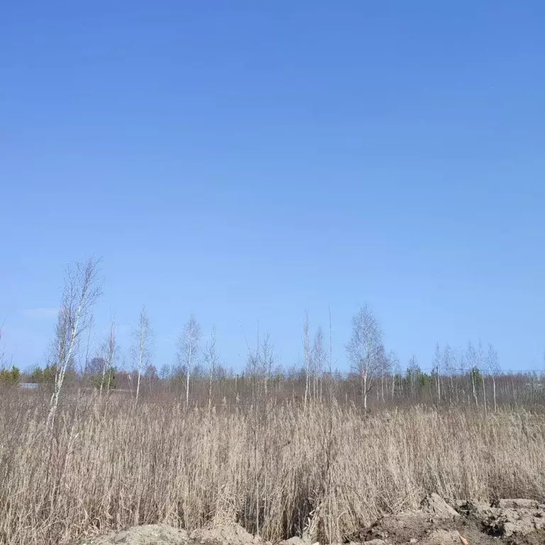 Участок в Московская область, Электрогорск Павлово-Посадский городской ... - Фото 0