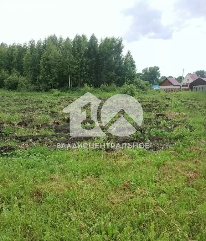 Участок в Сокур, улица Мурашкина (12.55 м) - Фото 1