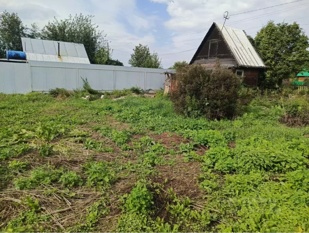 Участок в Новосибирская область, Новосибирск Одуванчик ДНТ,  (7.8 ... - Фото 2