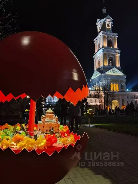 Дом в Нижегородская область, с. Дивеево ул. Восточная, 25 (100 м) - Фото 1