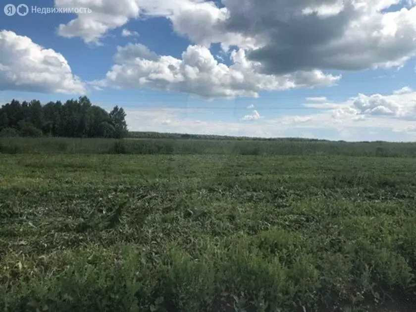 Участок в Тюменский район, село Каменка (12.4 м) - Фото 0