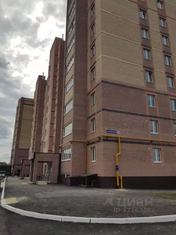 1-к кв. Марий Эл, Йошкар-Ола городской округ, с. Семеновка ул. ... - Фото 1