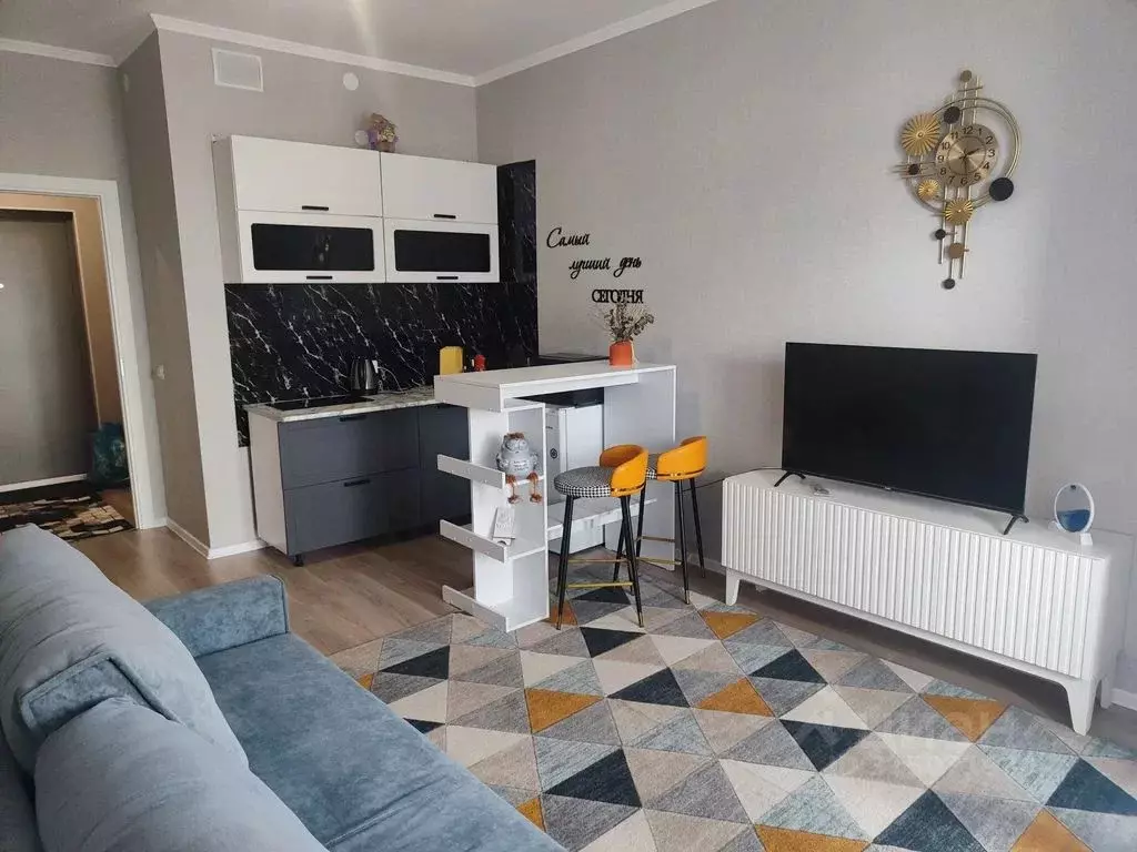 Студия Санкт-Петербург пос. Шушары, ул. Нины Петровой, 8к4 (27.0 м) - Фото 1