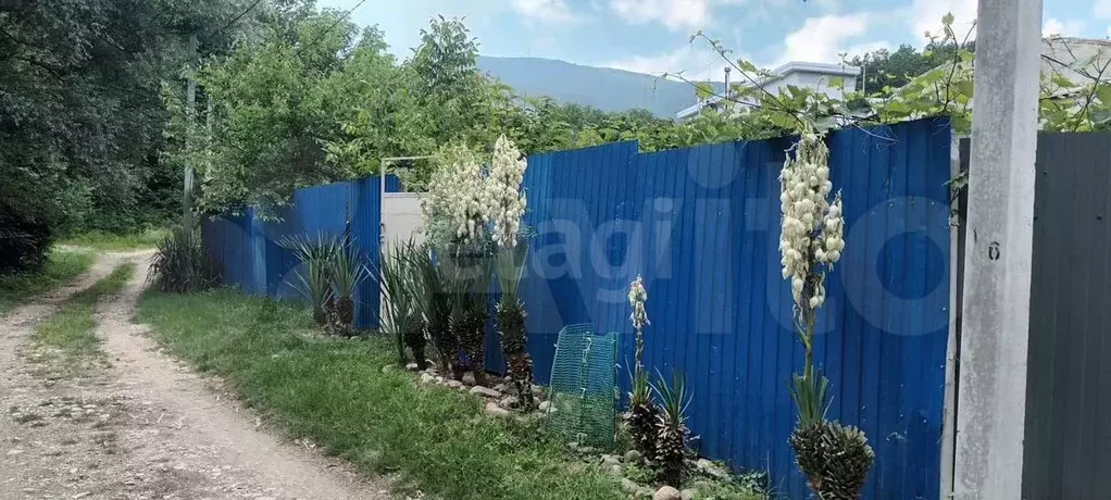 Участок 8 сот. (СНТ, ДНП) - Фото 1