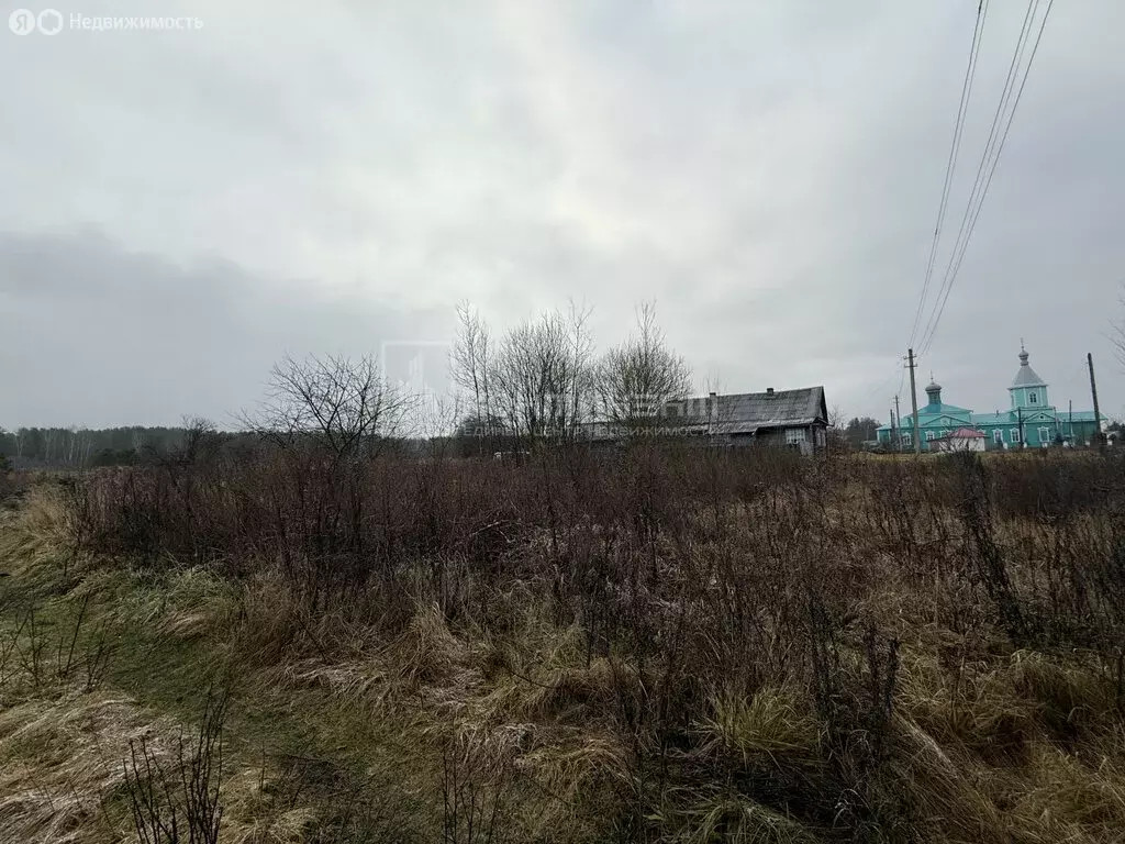 Участок в Владимирская область, Гусь-Хрустальный муниципальный округ, ... - Фото 2