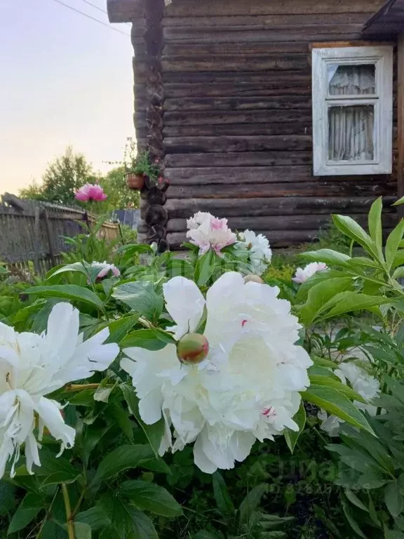 Дом в Вологодская область, Усть-Кубинский муниципальный округ, д. ... - Фото 2