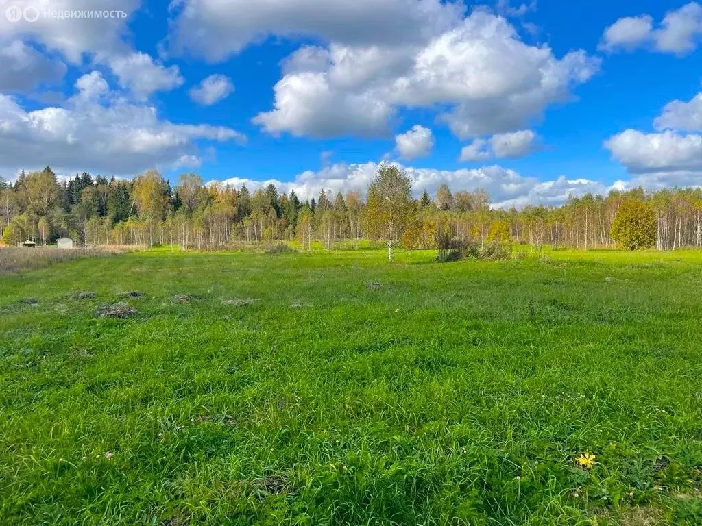 Участок в Наро-Фоминский городской округ, деревня Настасьино (8.34 м) - Фото 1