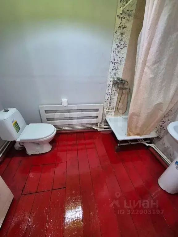 Дом в Алтай, Майминский район, с. Майма Березовая ул., 31 (46 м) - Фото 2