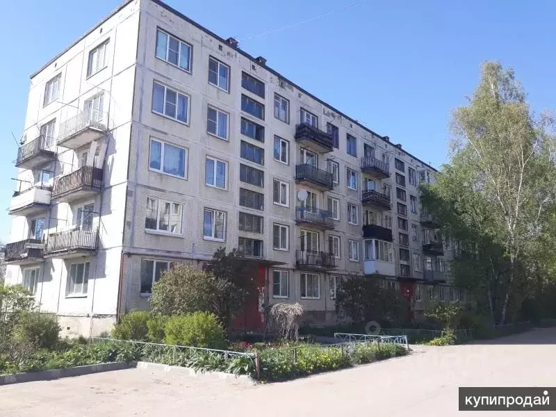 Студия Ленинградская область, Гатчинский муниципальный округ, пос. ... - Фото 1