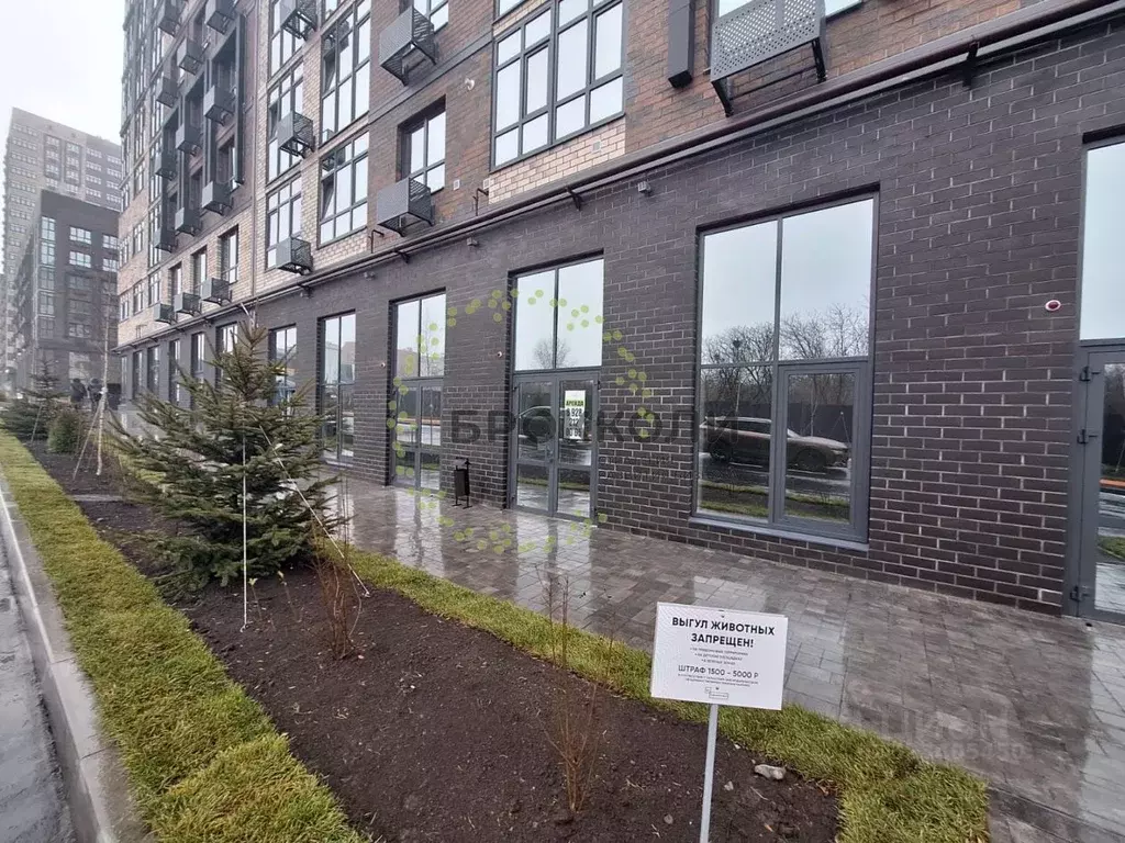 Помещение свободного назначения в Ростовская область, Ростов-на-Дону ... - Фото 2