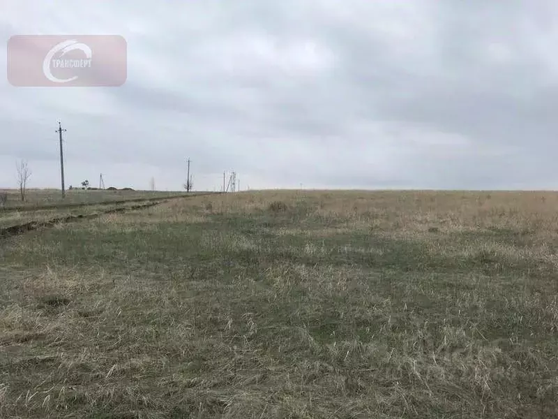 Участок в Воронежская область, Рамонский район, Новоживотинновское ... - Фото 1