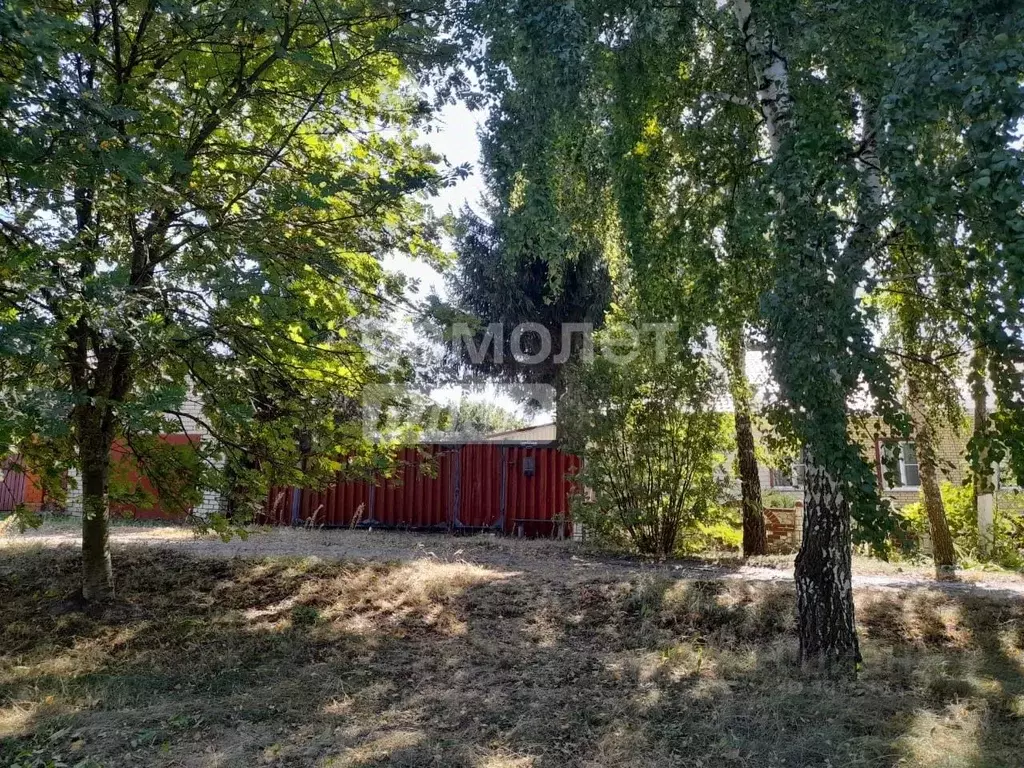 Дом в Курская область, Медвенский район, Высокский сельсовет, с. ... - Фото 1