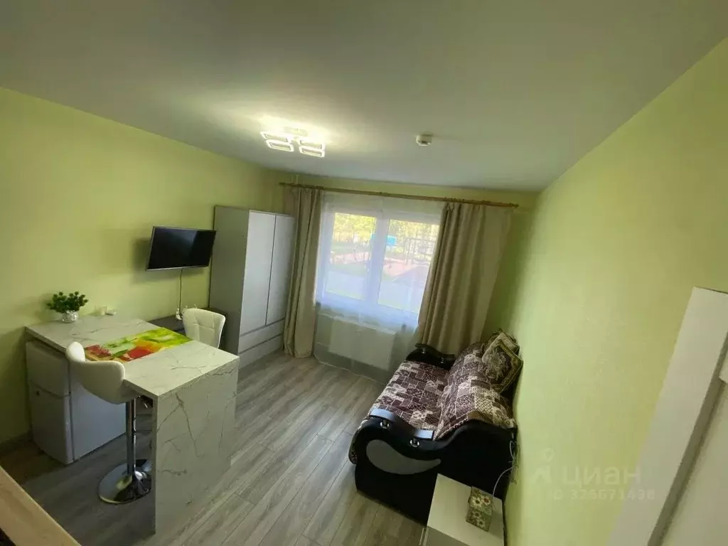 Студия Санкт-Петербург дор. Муринская, 9к1 (20.0 м) - Фото 1
