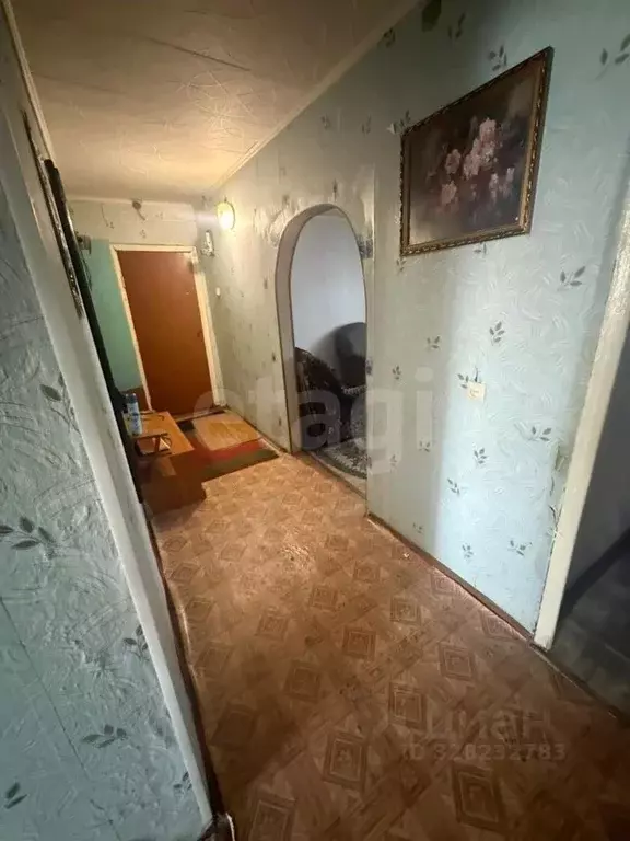 3-к кв. Амурская область, Ивановский муниципальный округ, с. ... - Фото 2