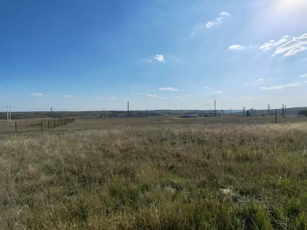 Участок в Волгоградская область, Городищенский район, Царицынское ... - Фото 1