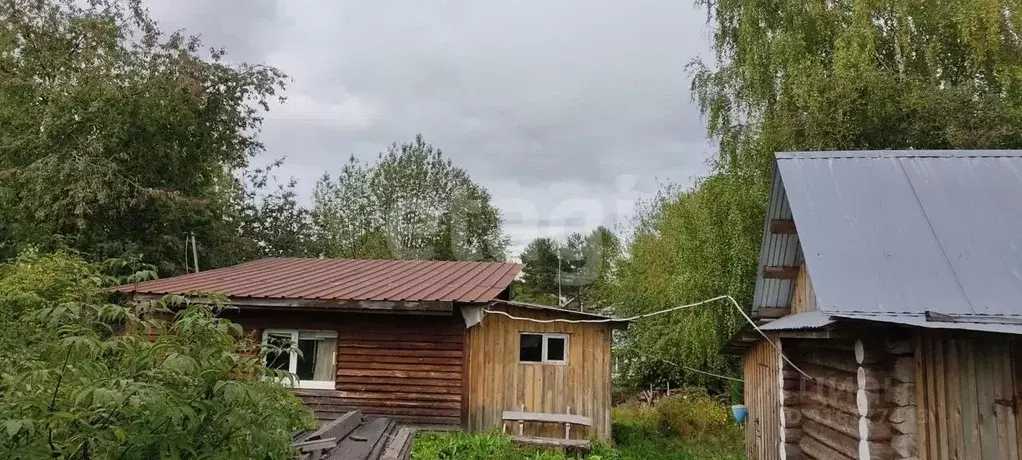 Дом в Пермский край, Ильинский городской округ, с. Слудка ул. ... - Фото 1