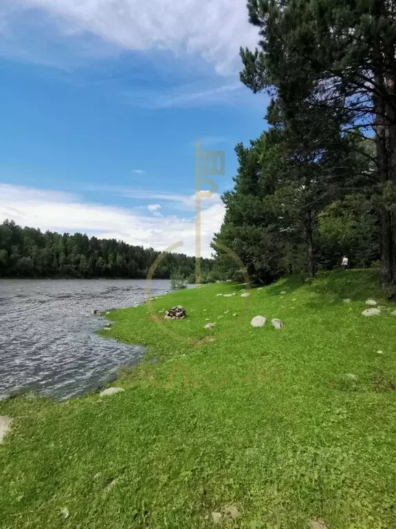 Участок в Алтай, Турочакский район, с. Тулой  (556.06 сот.) - Фото 0