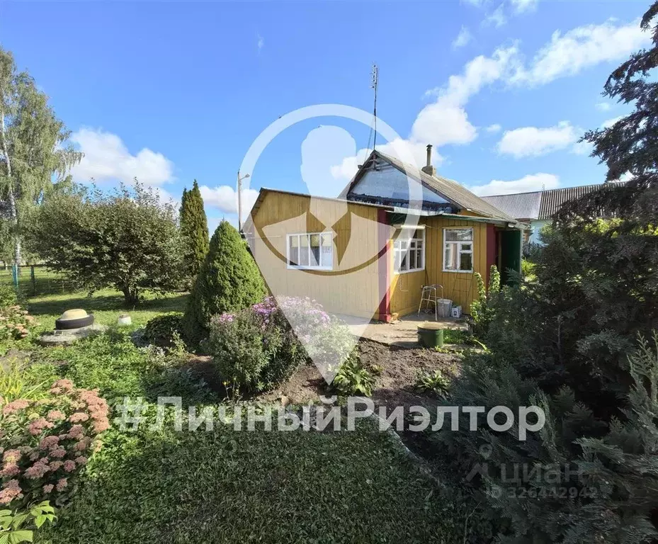 Дом в Рязанская область, Михайловский муниципальный округ, с. Голдино ... - Фото 1