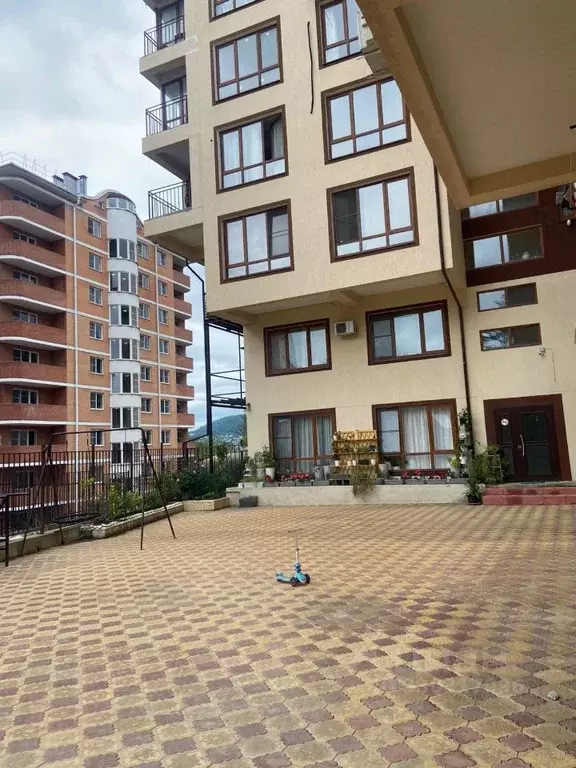 2-к кв. Краснодарский край, Сочи Вишневая ул., 38/4 (38.0 м) - Фото 1