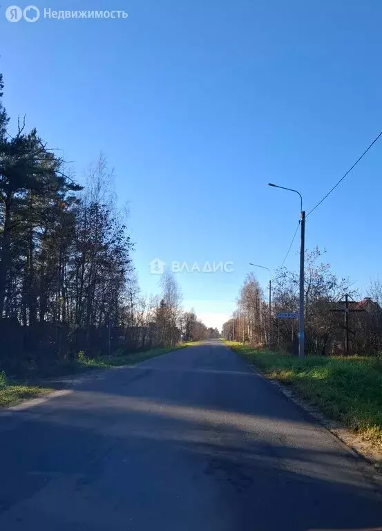 Дом в Пенкино, Центральная улица, 54 (40 м) - Фото 1