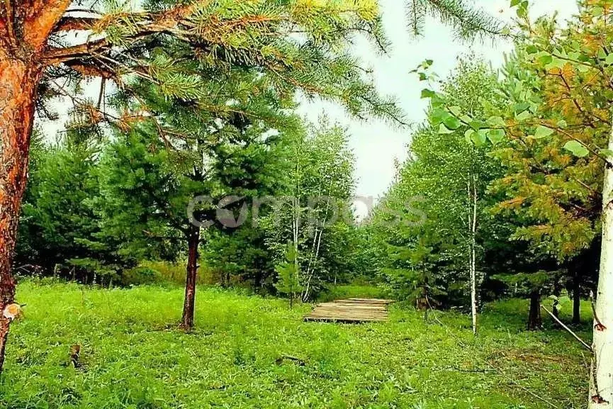 Участок в Тюменская область, Ялуторовский район, с. Сингуль Татарский  ... - Фото 0