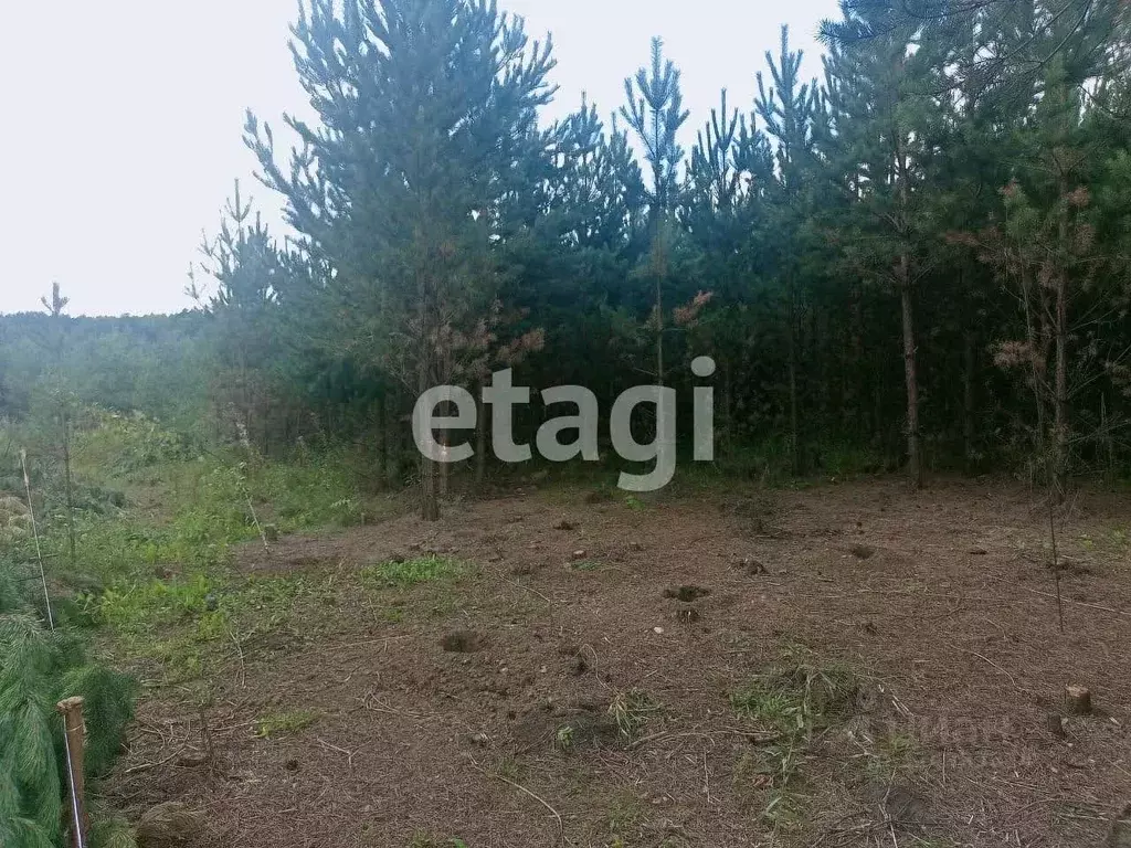 Участок в Красноярский край, Емельяновский муниципальный округ, ... - Фото 1