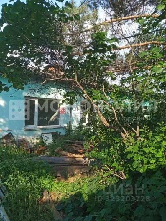 Дом в Амурская область, Белогорский муниципальный округ, с. Возжаевка ... - Фото 1