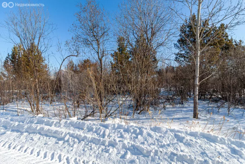 Участок в Тюменский район, СНТ Нива, Длинная улица (7.8 м) - Фото 1