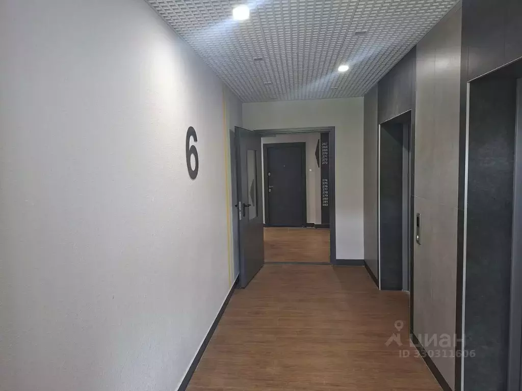 Студия Краснодарский край, Сочи ул. Искры, 88к3 (27.6 м) - Фото 2