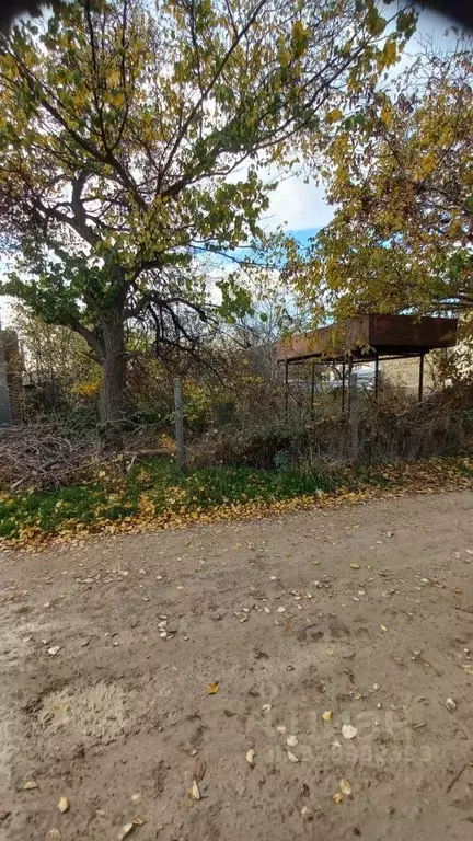 Участок в Крым, Симферополь ул. 15-я Коллективных Садов, 189 (4.0 ... - Фото 2