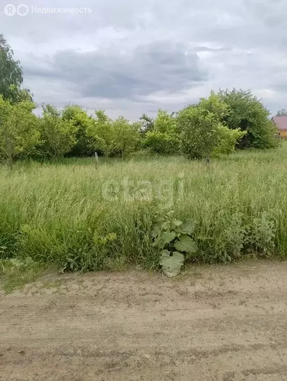 Участок в село Большой Вьяс, улица Кирова (12 м) - Фото 1