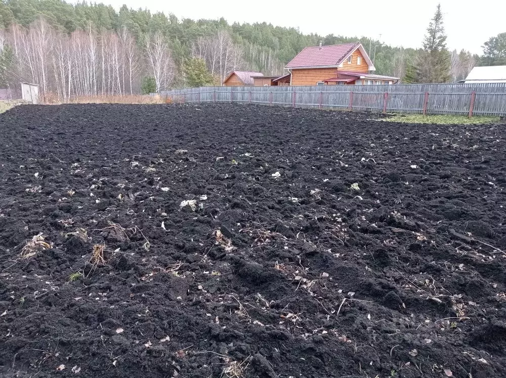 Участок в Красноярский край, Емельяново городское поселение, Полет СНТ ... - Фото 0