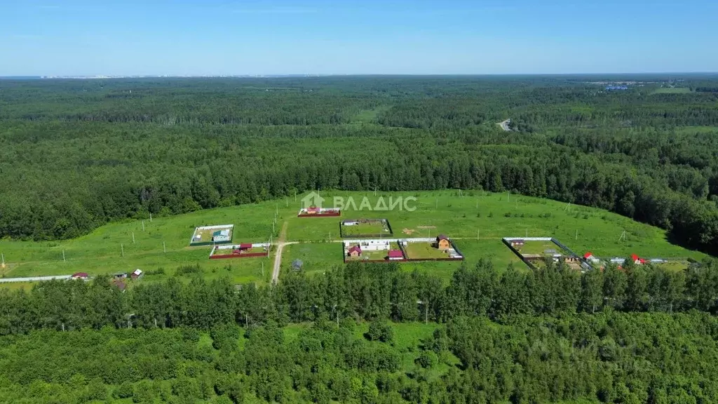 Участок в Владимирская область, Судогодский район, Медовая поляна дп  ... - Фото 1