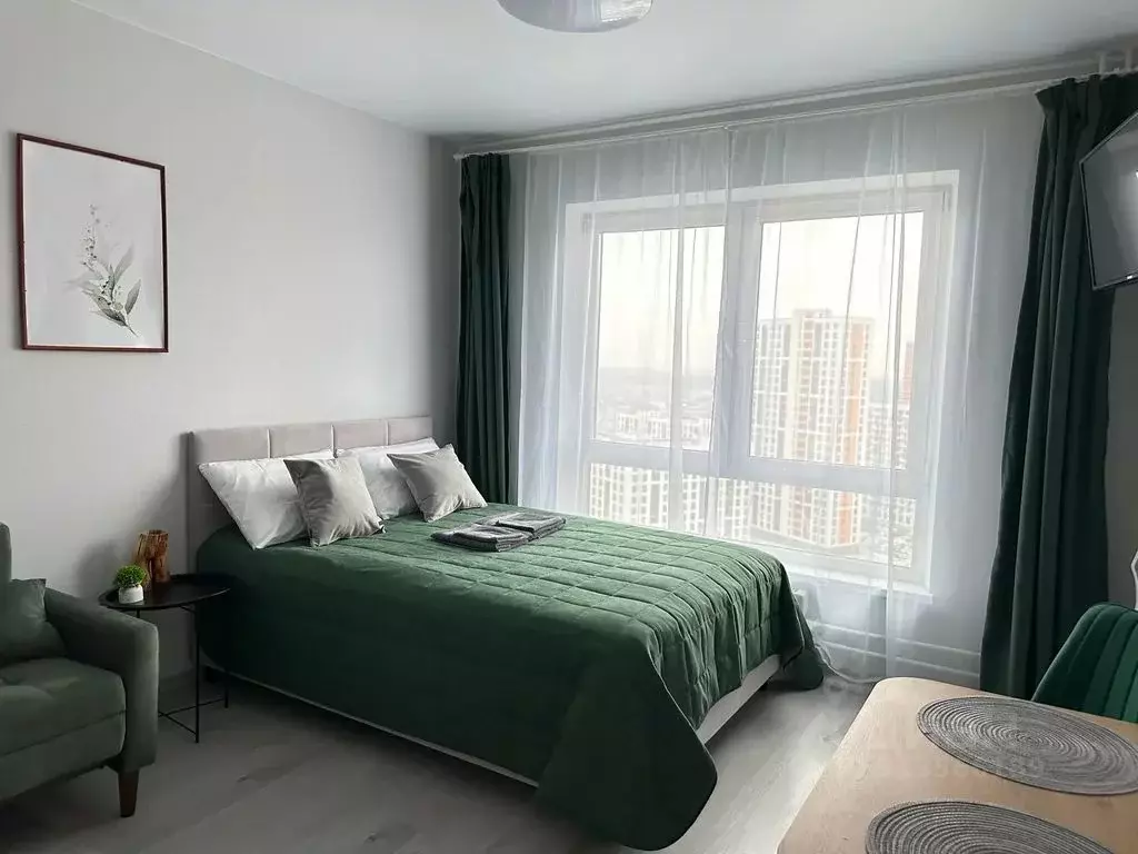 1-к кв. Московская область, Одинцово ул. Березовая, 1 (25.0 м) - Фото 0