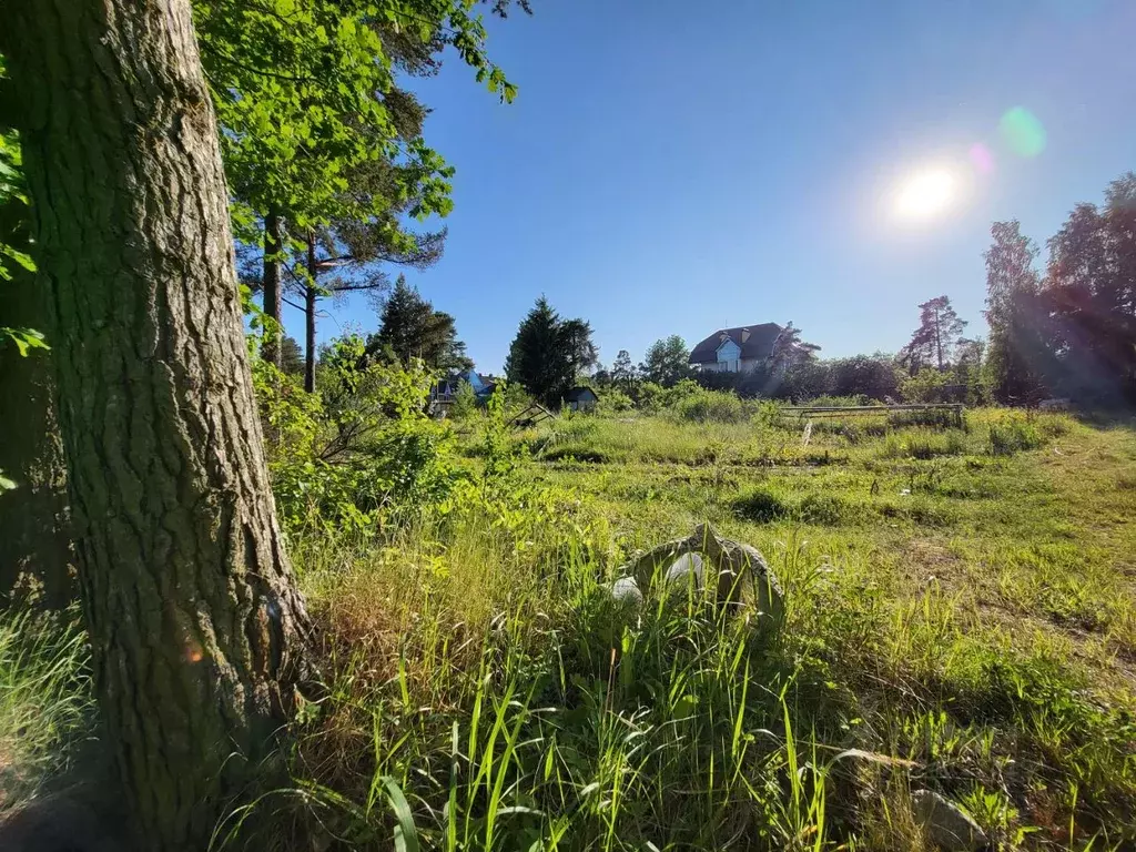 Участок в Санкт-Петербург, Санкт-Петербург, Петергоф Знаменка тер.,  ... - Фото 1