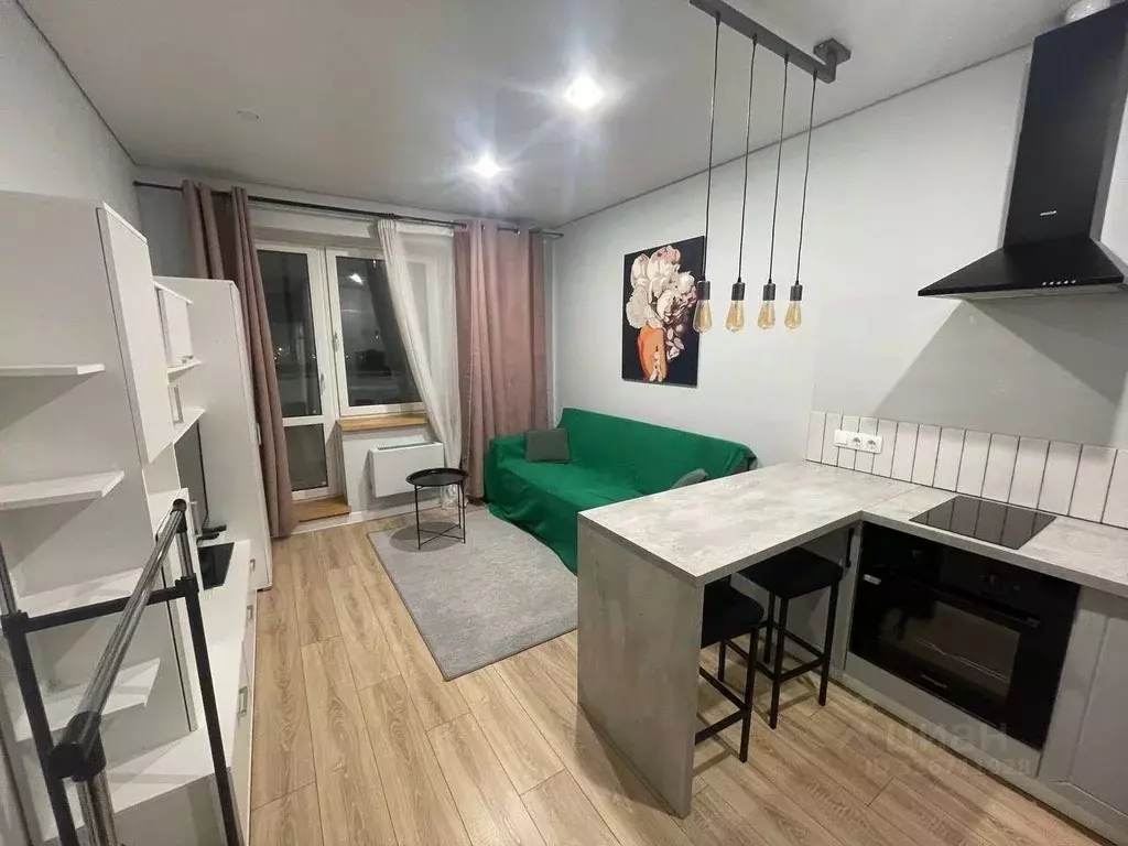 Студия Московская область, Ногинск Богородский городской округ, ул. ... - Фото 1