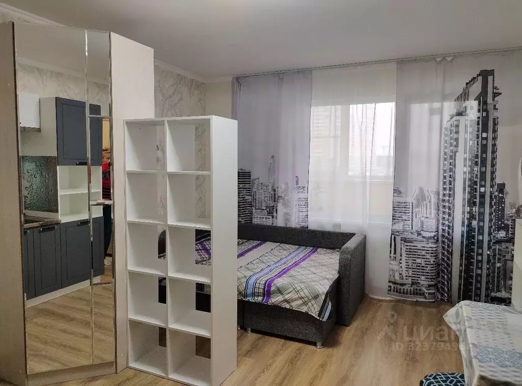 Студия Санкт-Петербург пос. Шушары, просп. Новгородский, 2к1 (25.0 м) - Фото 2