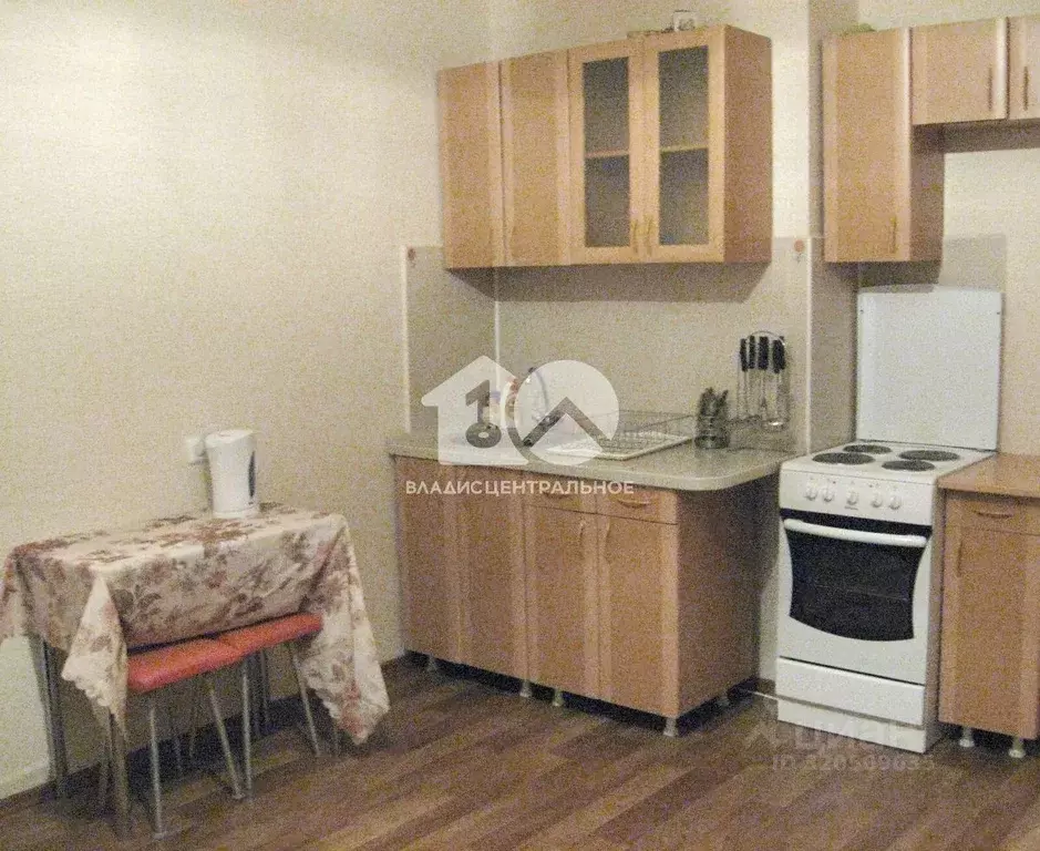 Студия Новосибирская область, Новосибирск Красный просп., 173/1 (25.0 ... - Фото 0