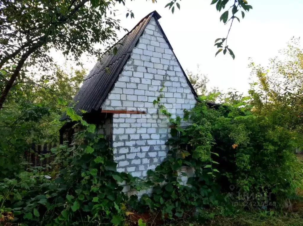 Дом в Брянская область, Брянский район, Снежское с/пос, с. Толмачево, ... - Фото 2