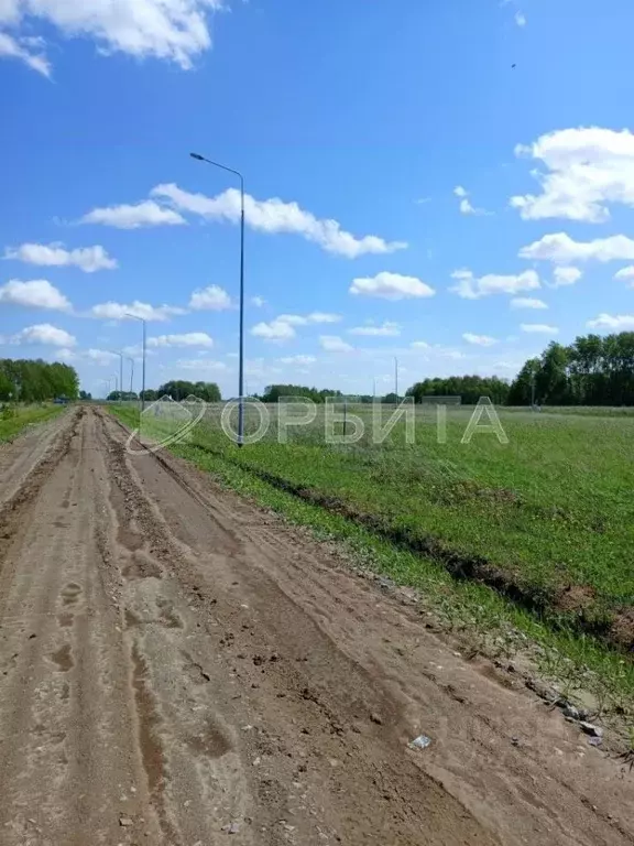Участок в Тюменская область, Тюменский муниципальный округ, ... - Фото 2
