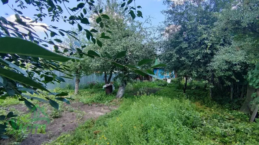 Участок в Московская область, Жуковский Весна-2 СНТ, 48 (3.4 сот.) - Фото 2