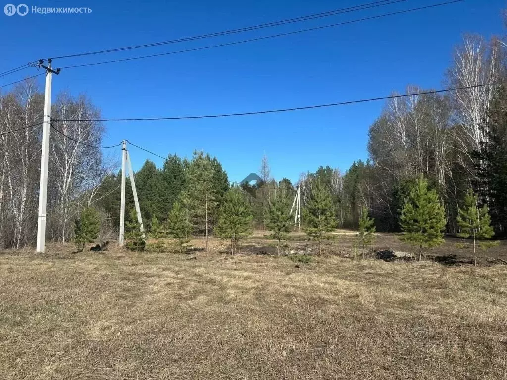 Участок в Тюменский район, деревня Ушакова, Зелёная улица (7 м) - Фото 0