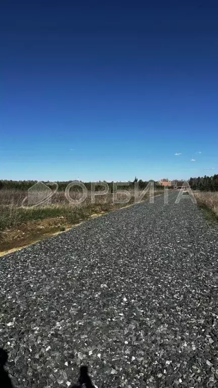 Участок в Тюменская область, Тюменский муниципальный округ, с. ... - Фото 1