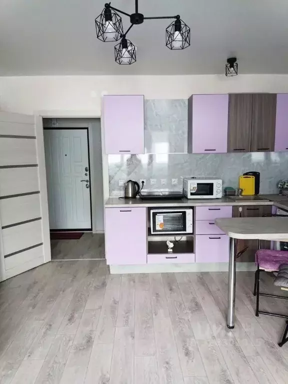 Студия Пермский край, Пермь ул. Гашкова, 58 (23.8 м) - Фото 2