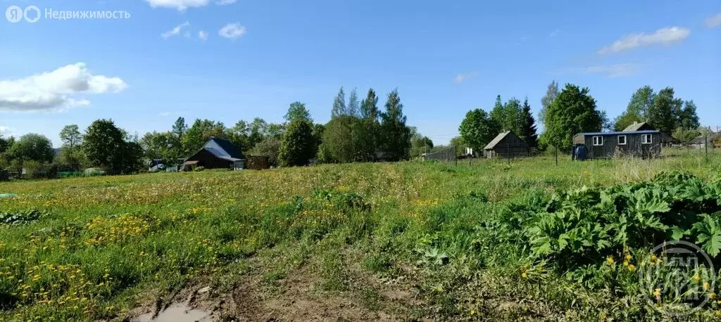 Участок в Волосовский район, деревня Бегуницы (24 м) - Фото 1