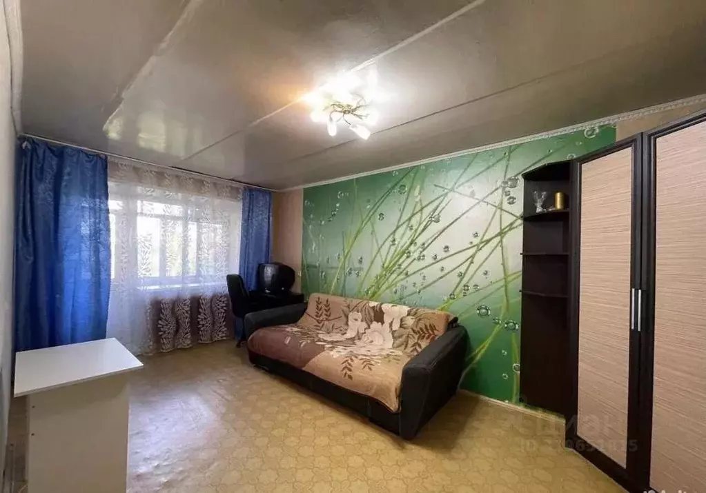 1-к кв. Нижегородская область, Богородск ул. Пушкина, 18 (31.0 м) - Фото 0