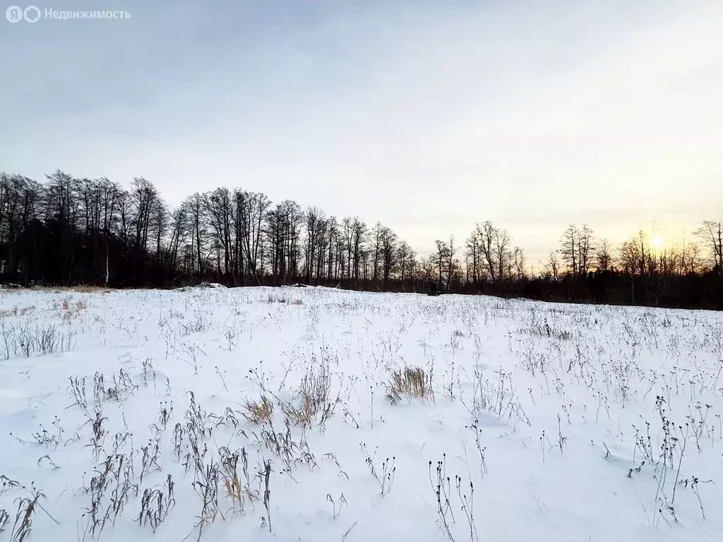 Участок в поселок Зеленая Роща, коттеджный посёлок Видная горка (15 м) - Фото 2