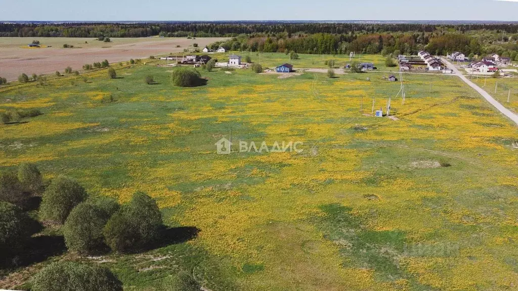 Участок в Ленинградская область, Ломоносовский район, Лаголовское ... - Фото 1