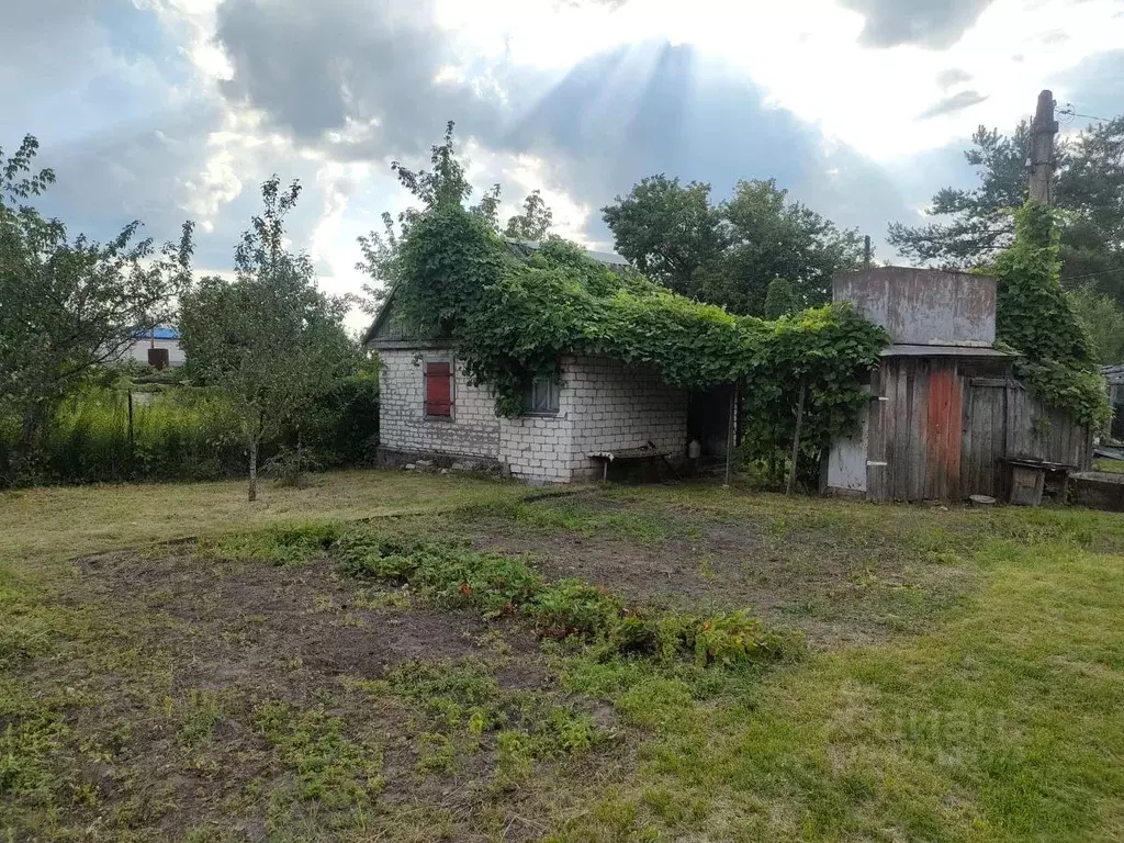 Дом в Брянская область, Брянск Вишня-2 садовое общество, ул. Береговая ... - Фото 1