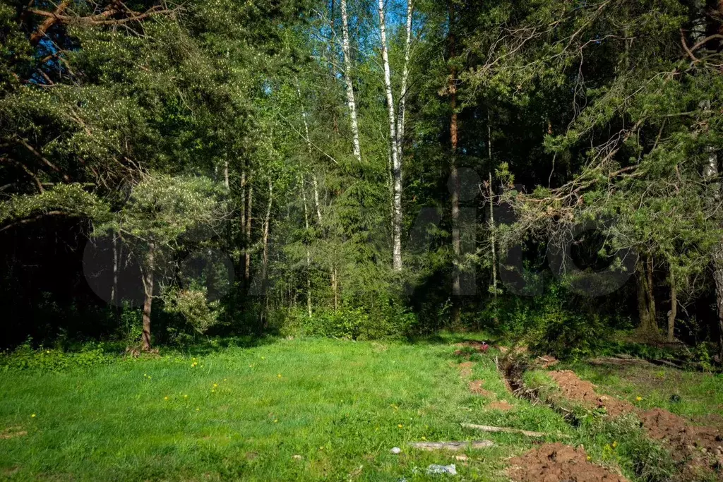 Участок 7,2 сот. (ИЖС) - Фото 1